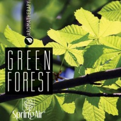 Rezerva odorizant prin nano-atomizare, GREEN FOREST - Spring Air, 500ml Rezerva odorizant prin nano-atomizare, GREEN FOREST - Spring Air, 500ml