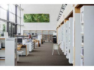 Covorașe de birou: care sunt cele mai potrivite pentru un design atractiv