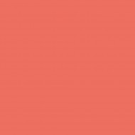 Cordon sudură  CORAL