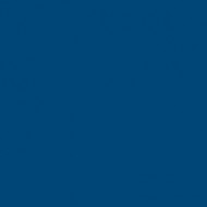 PVC sportiv Omnisports V120 albastru Royal Blue PVC sportiv Omnisports V120 albastru Royal Blue