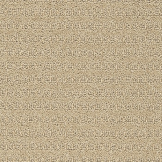 Splendid, Mocheta la Rola, Balta Industries Splendid, Mocheta la Rola, Balta Industries