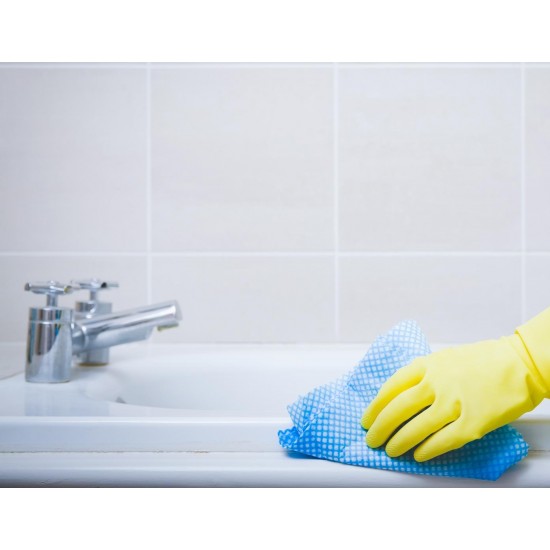 SANIFRESH-detergent profesional igienizant pentru baie, Asevi, 5L