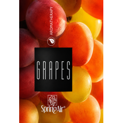 Rezerva odorizant prin nano-atomizare, GRAPES - Spring Air, 500ml Rezerva odorizant prin nano-atomizare, GRAPES - Spring Air, 500ml