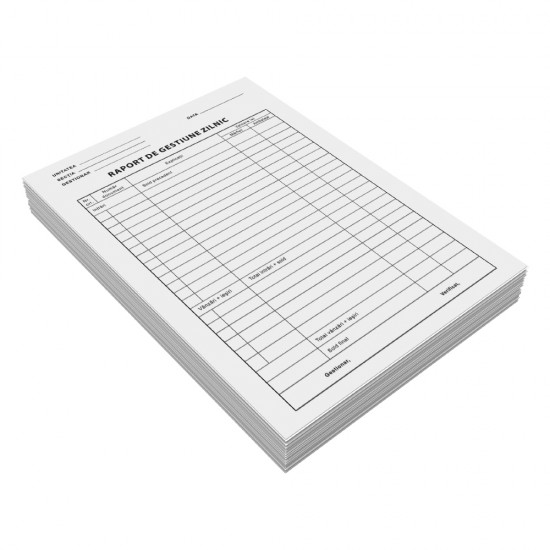 Raport gestiune zilnic, A4, 100 file, fata, 3 bucati/set Raport gestiune zilnic, A4, 100 file, fata, 3 bucati/set