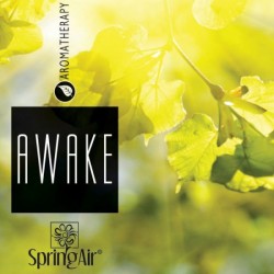 Rezerva odorizant prin nano-atomizare, AWAKE - Spring Air, 500ml Rezerva odorizant prin nano-atomizare, AWAKE - Spring Air, 500ml