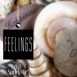 Rezerva odorizant prin nano-atomizare, FEELINGS - Spring Air, 500ml Rezerva odorizant prin nano-atomizare, FEELINGS - Spring Air, 500ml