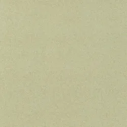 Covor pvc lentex PIONEER (2m) Covor pvc lentex PIONEER (2m)