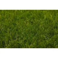 Gazon sintetic verde decorativ Mystique, înălțime fir 47 mm Gazon sintetic verde decorativ Mystique, înălțime fir 47 mm