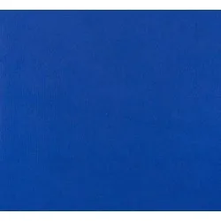 Mochetă exterior Park Albastru 800, înălțime fir 7.5 mm