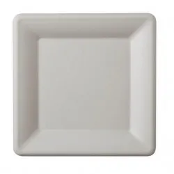 FARFURIE BIO PATRATA DIN TRESTIE DE ZAHAR 15 cm 50 buc/ set FARFURIE BIO PATRATA DIN TRESTIE DE ZAHAR 15 cm 50 buc/ set