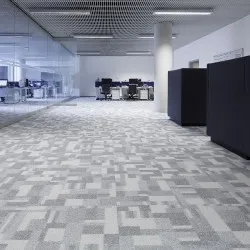 Mocheta First Blocks, Modulyss