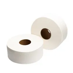 Hârtie igienică 100 m, 300 grame, in 2 straturi, extra albă, Mini Jumbo, AQAS